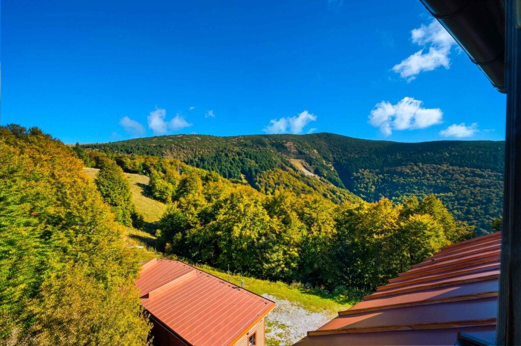 Apartman_KING_251008_MTS_7991-small